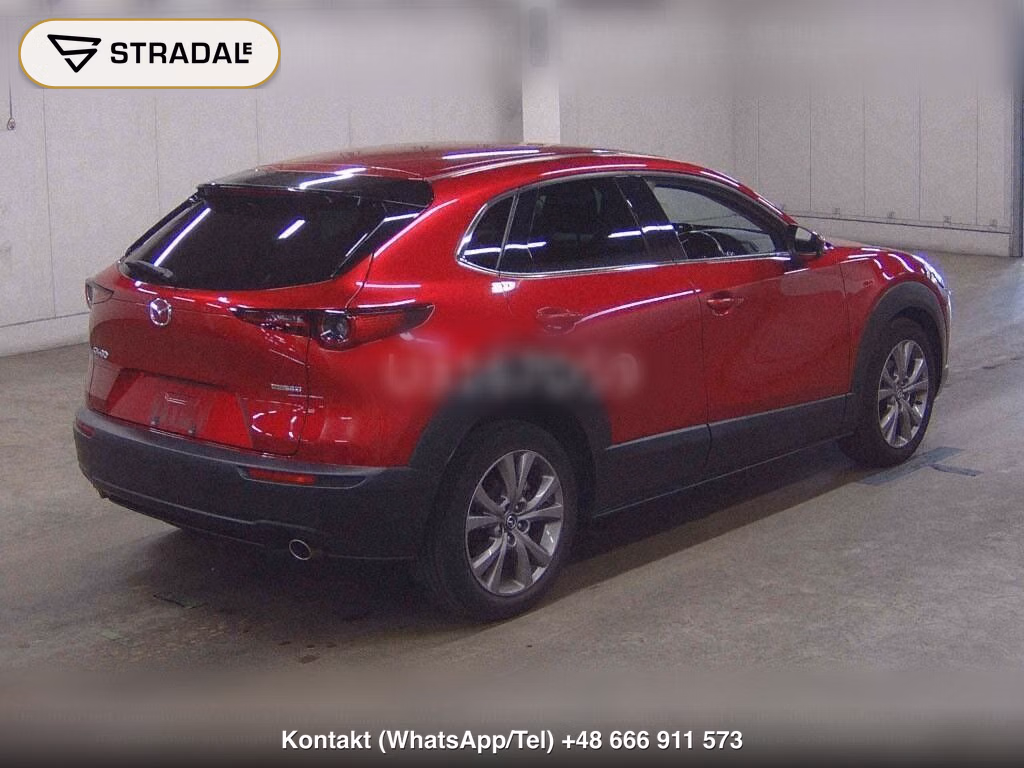 MAZDA CX-30 XD PROACTIVE TOURING SELECTION, miniaturka 6