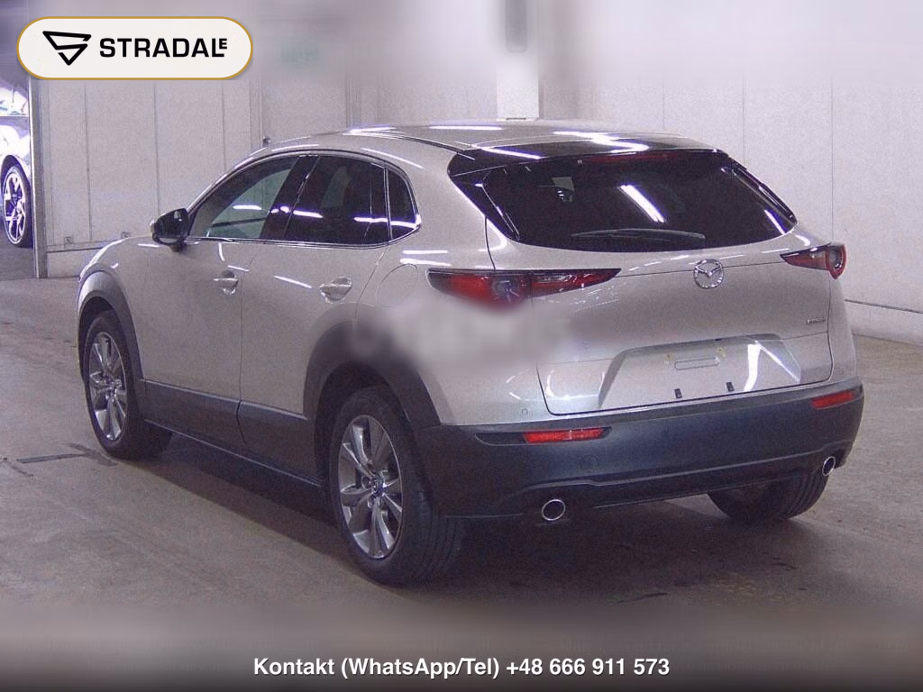 MAZDA CX-30 XD PROACTIVE TOURING SELECTION, miniaturka 3