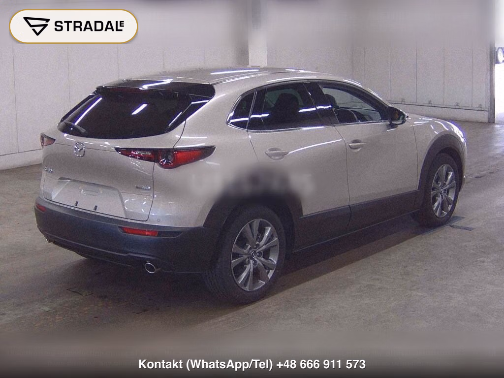 MAZDA CX-30 XD PROACTIVE TOURING SELECTION, miniaturka 6