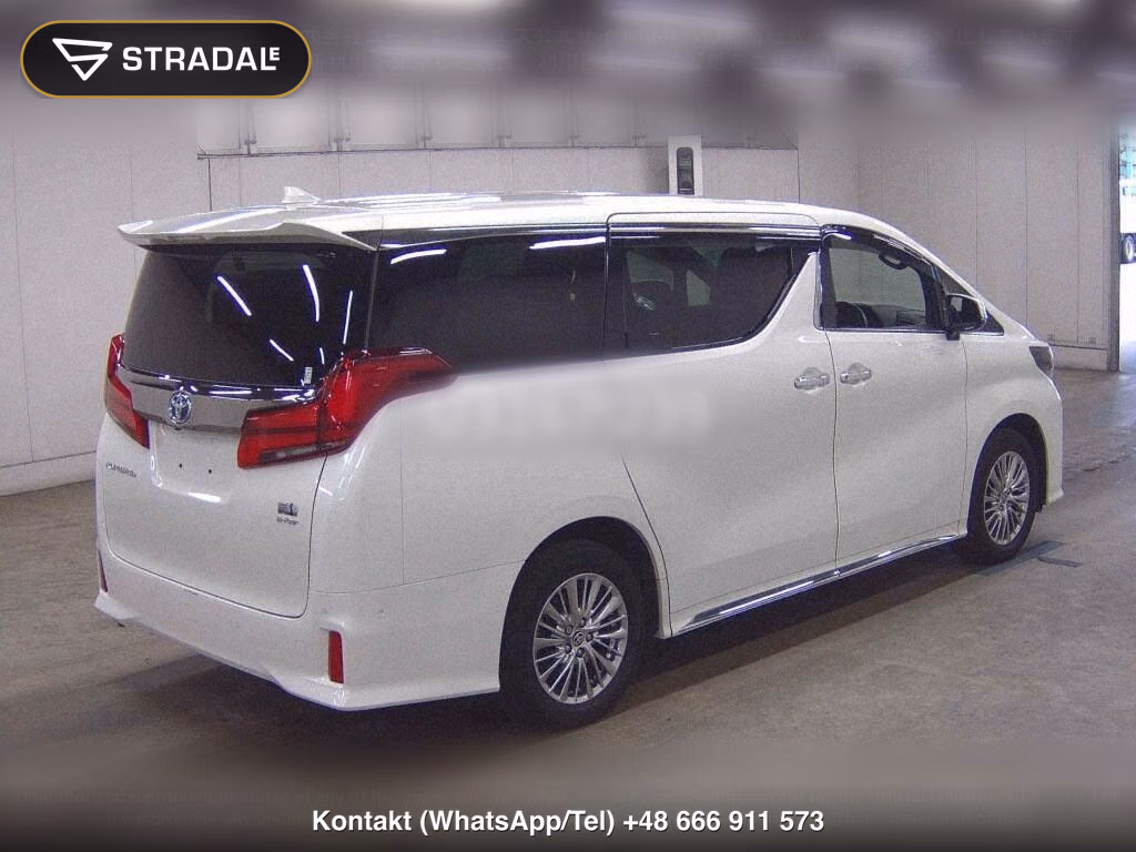 TOYOTA ALPHARD HYBRID 4WD S TYPE GOLDⅢ, miniaturka 6