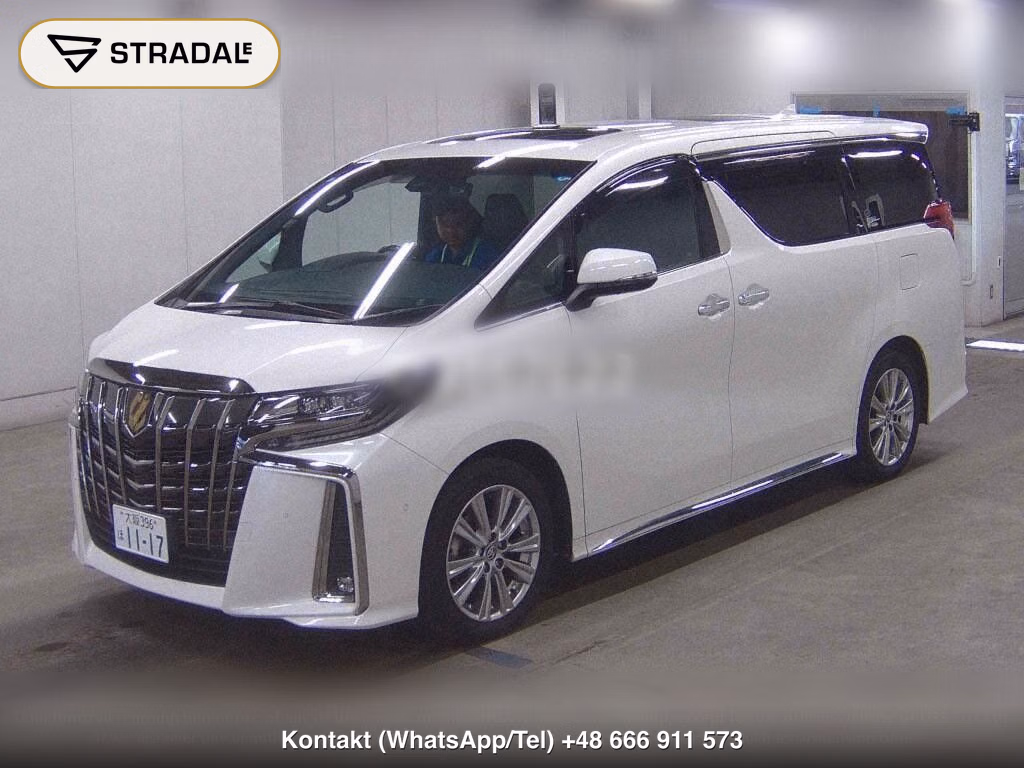 TOYOTA ALPHARD 2.5S TYPE GOLD, miniaturka 5