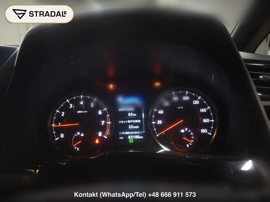 TOYOTA ALPHARD 2.5S TYPE GOLD, miniaturka 7