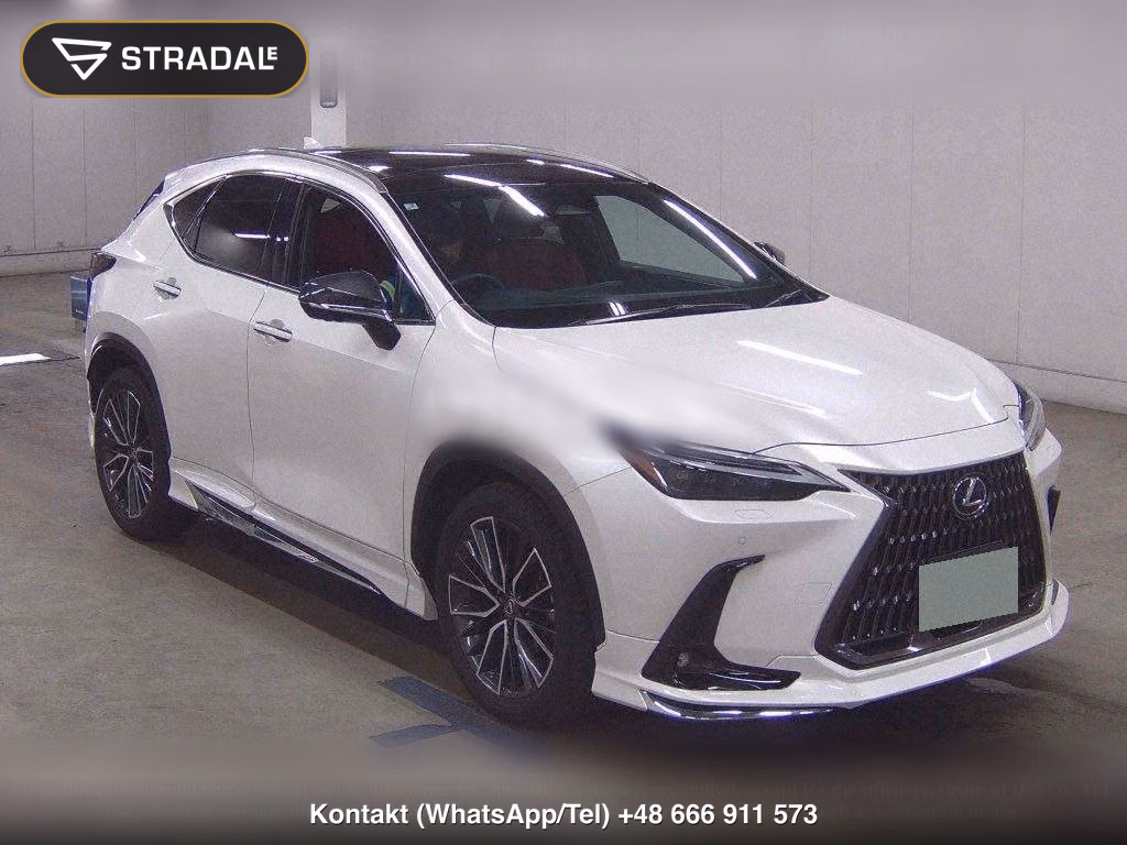 LEXUS NX NX250 VERSION L, miniaturka 2