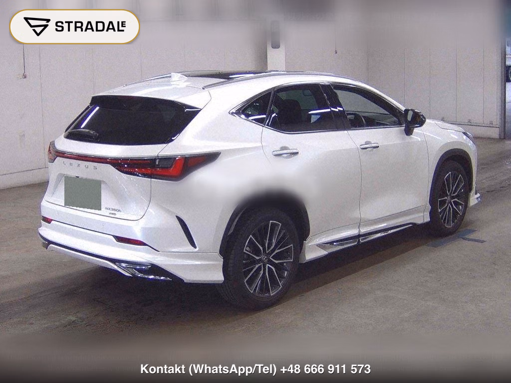 LEXUS NX NX250 VERSION L, miniaturka 6