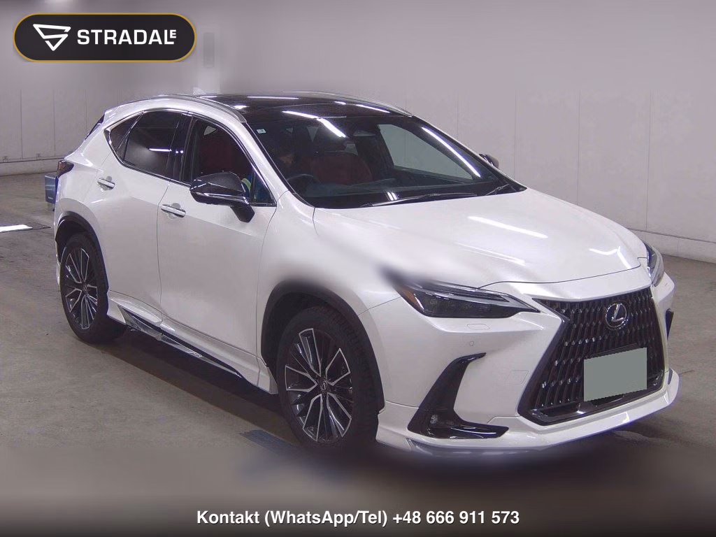 LEXUS NX NX250 VERSION L 2023, aukcja z Japonii, zdjęcie 1