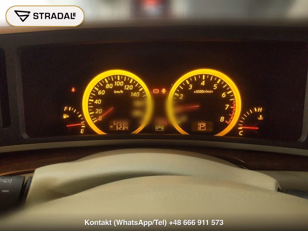 NISSAN ELGRAND 5D 4WD V, miniaturka 7