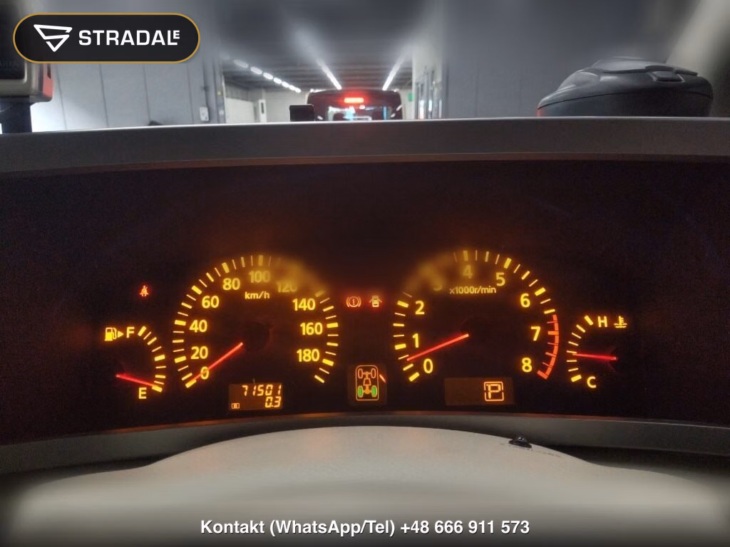 NISSAN ELGRAND 5D 4WD VG, miniaturka 6