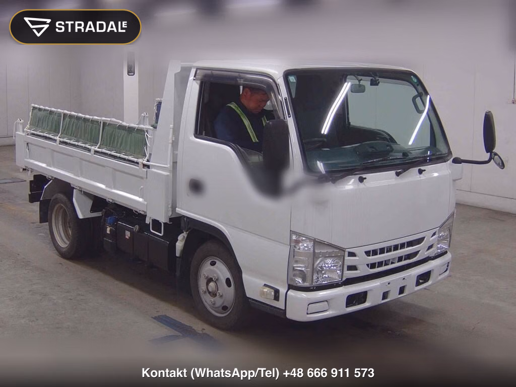 ISUZU ELF TRUCK 2D DUMP 2019, aukcja z Japonii, zdjęcie 1