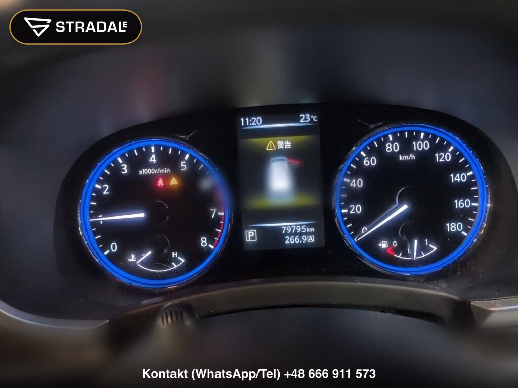NISSAN ELGRAND 5D 250 HIGHWAY STAR S, miniaturka 7