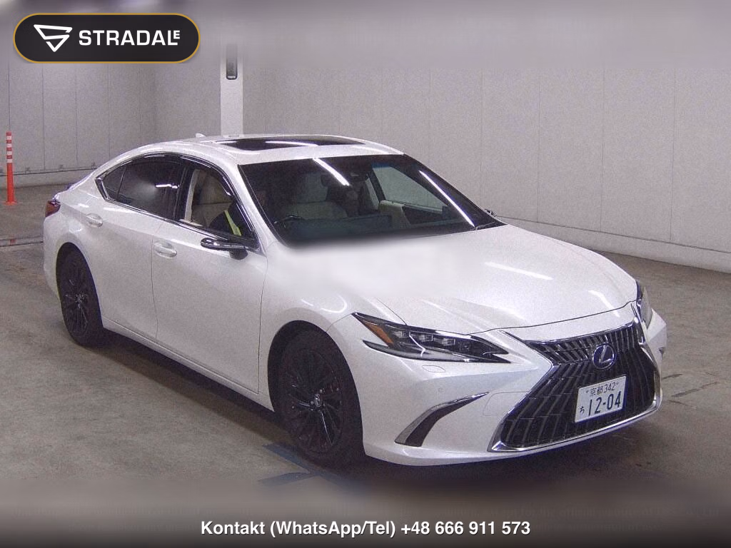 LEXUS ES ES300H VERSION L, miniaturka 2