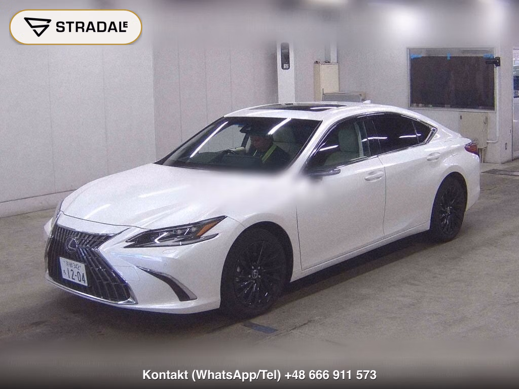 LEXUS ES ES300H VERSION L, miniaturka 5