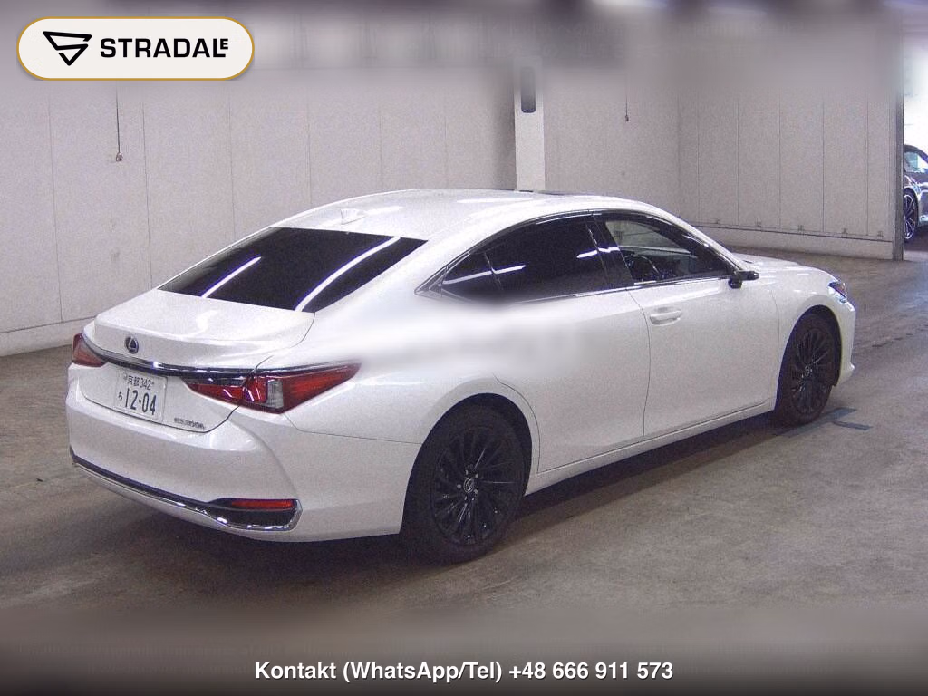 LEXUS ES ES300H VERSION L, miniaturka 6