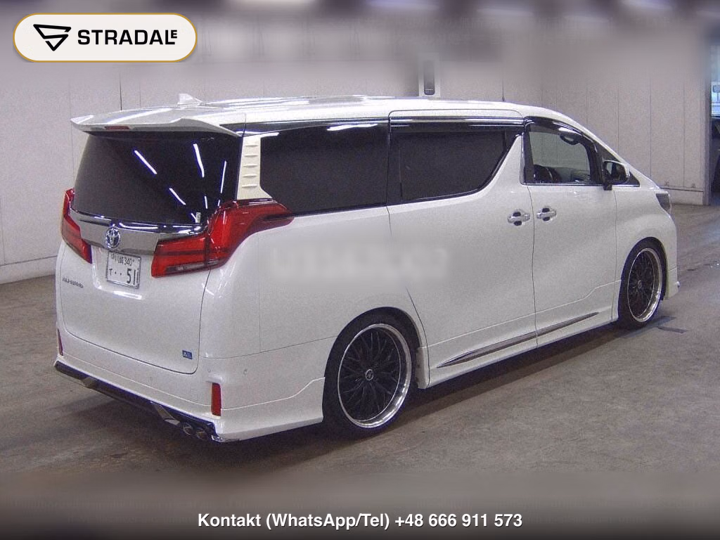 TOYOTA ALPHARD 2.5S TYPE GOLD, miniaturka 6