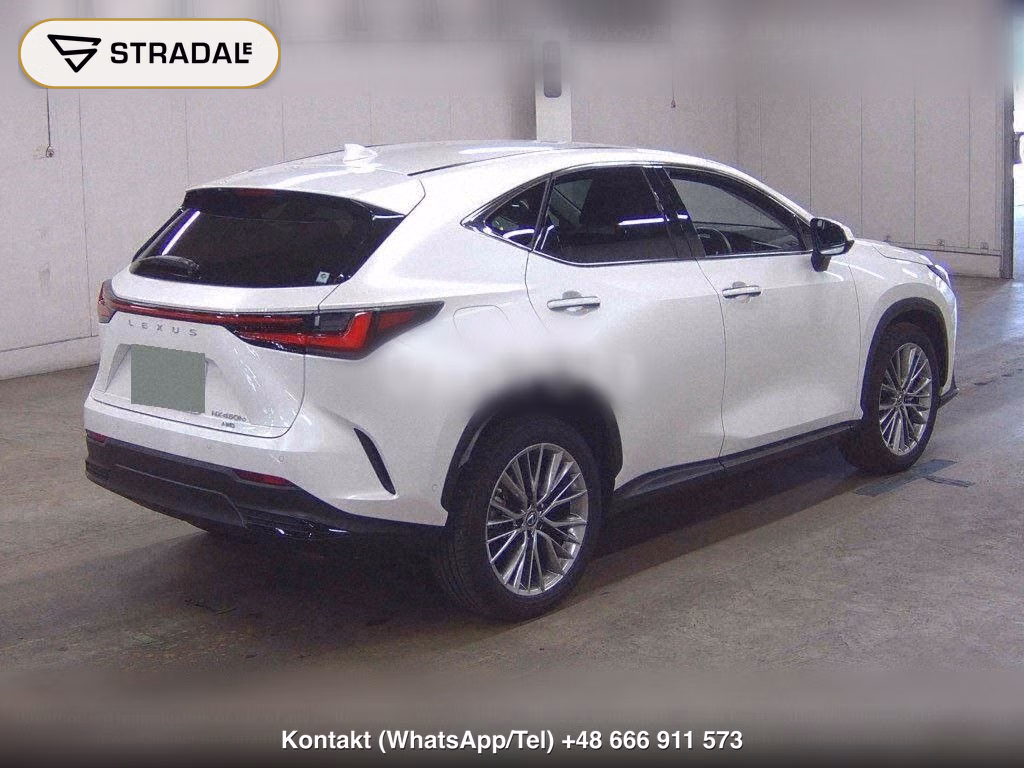 LEXUS NX 4WD NX450H+ VERSION L, miniaturka 6