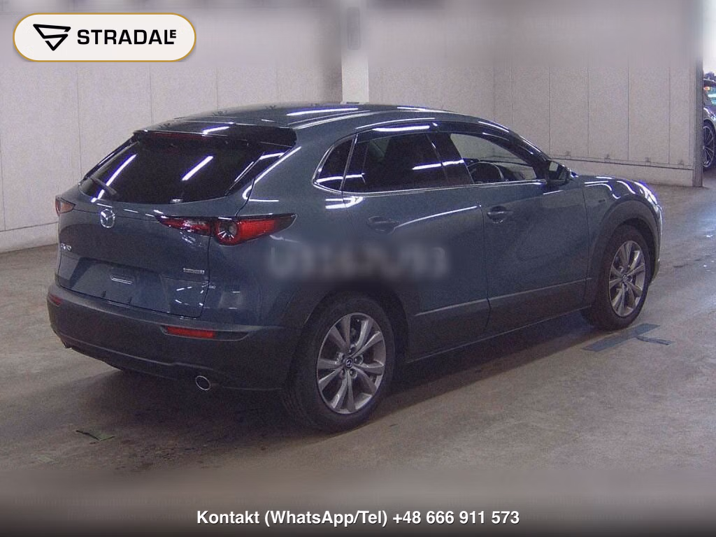 MAZDA CX-30 XD L PACKAGE, miniaturka 6