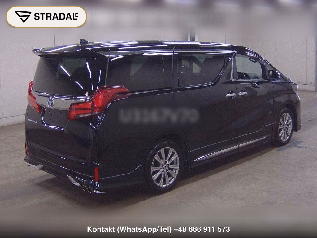 TOYOTA ALPHARD 2.5S TYPE GOLDⅡ, miniaturka 6