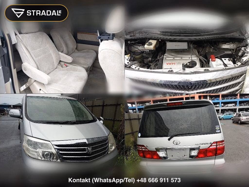 TOYOTA ALPHARD MZ, miniaturka 7