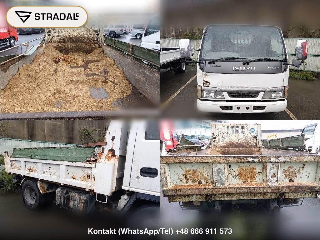 ISUZU ELF TRUCK 2D DUMP, miniaturka 7