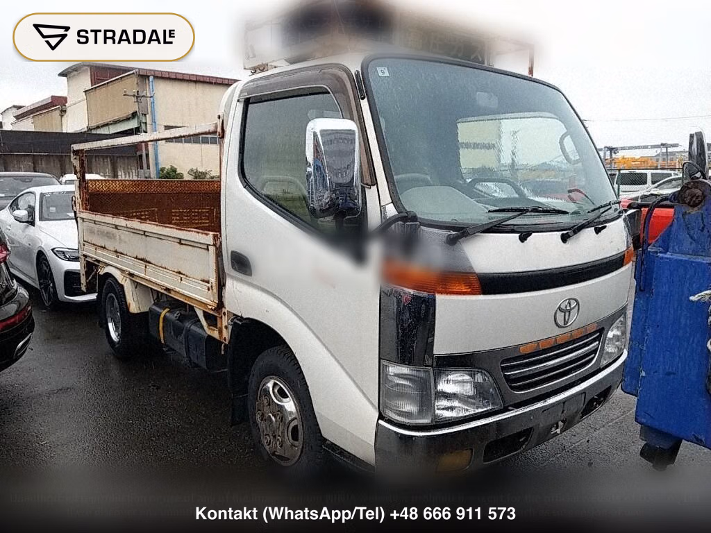 TOYOTA DYNA TRUCK 2D, miniaturka 2