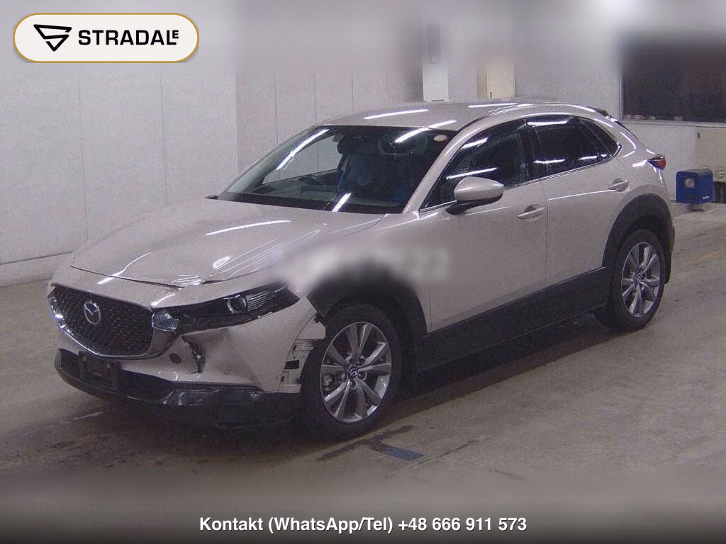 MAZDA CX-30 XD L PACKAGE, miniaturka 5