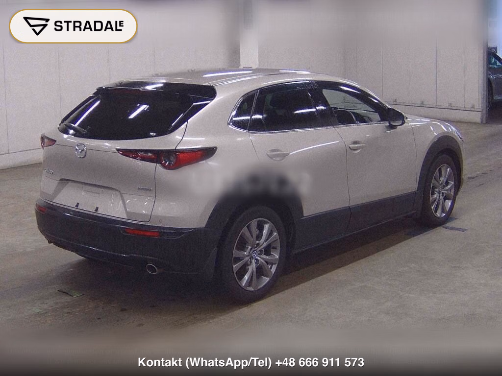 MAZDA CX-30 XD L PACKAGE, miniaturka 6
