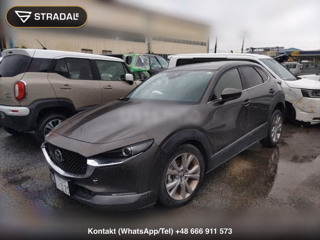 MAZDA CX-30 XD PROACTIVE TOURING SELECTION, miniaturka 5