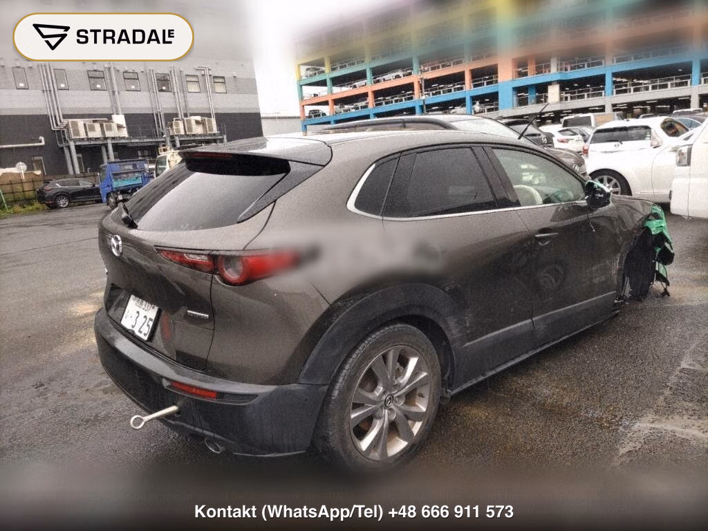 MAZDA CX-30 XD PROACTIVE TOURING SELECTION, miniaturka 6