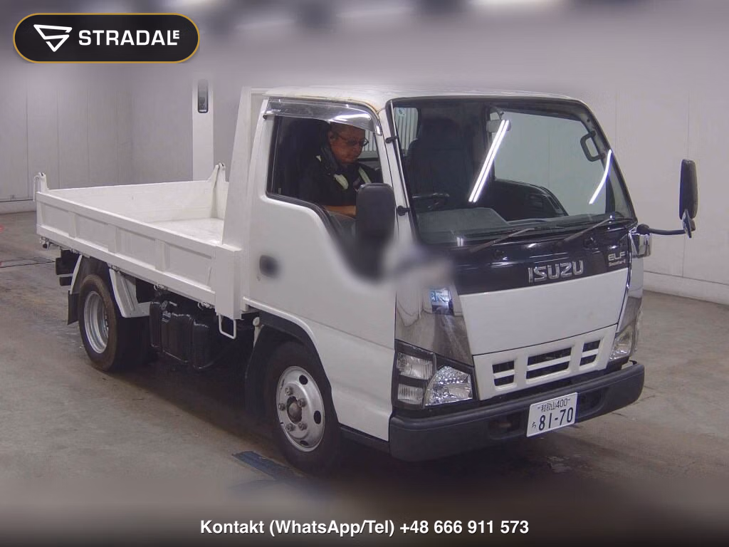 ISUZU ELF TRUCK 2D OTHERS 2006, aukcja z Japonii, zdjęcie 1