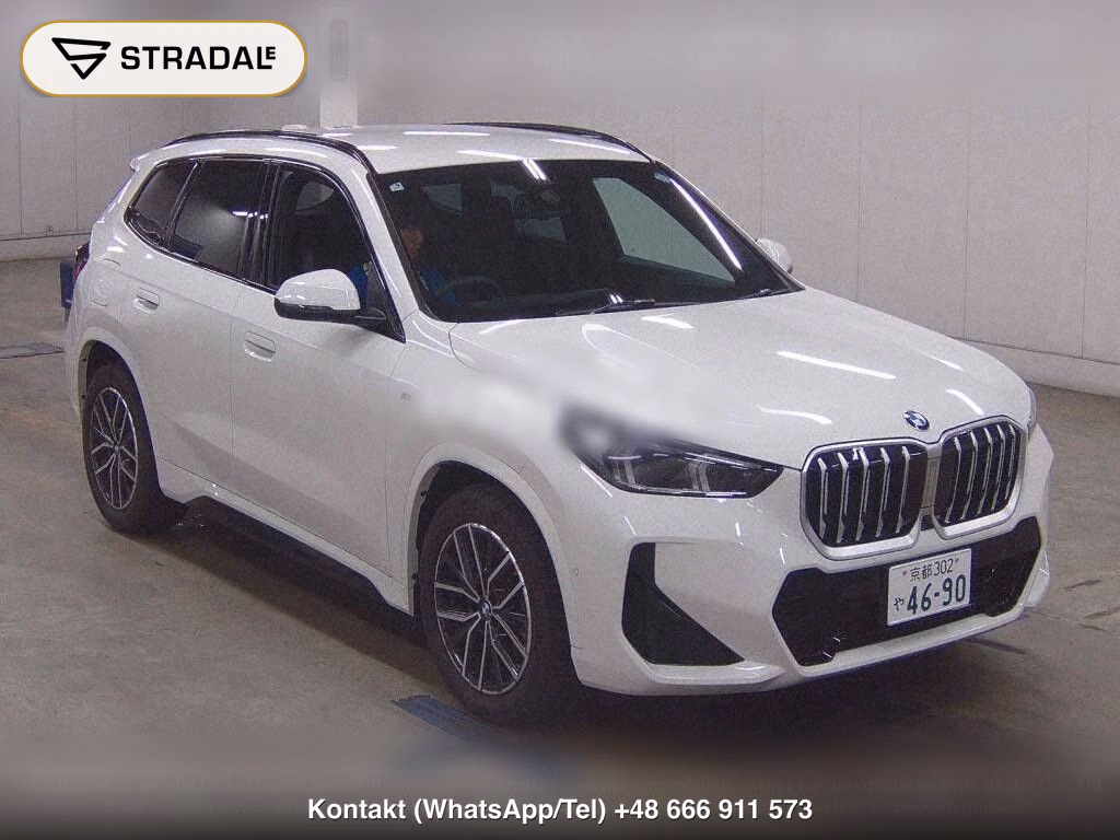 BMW X1 OTHERS, miniaturka 2