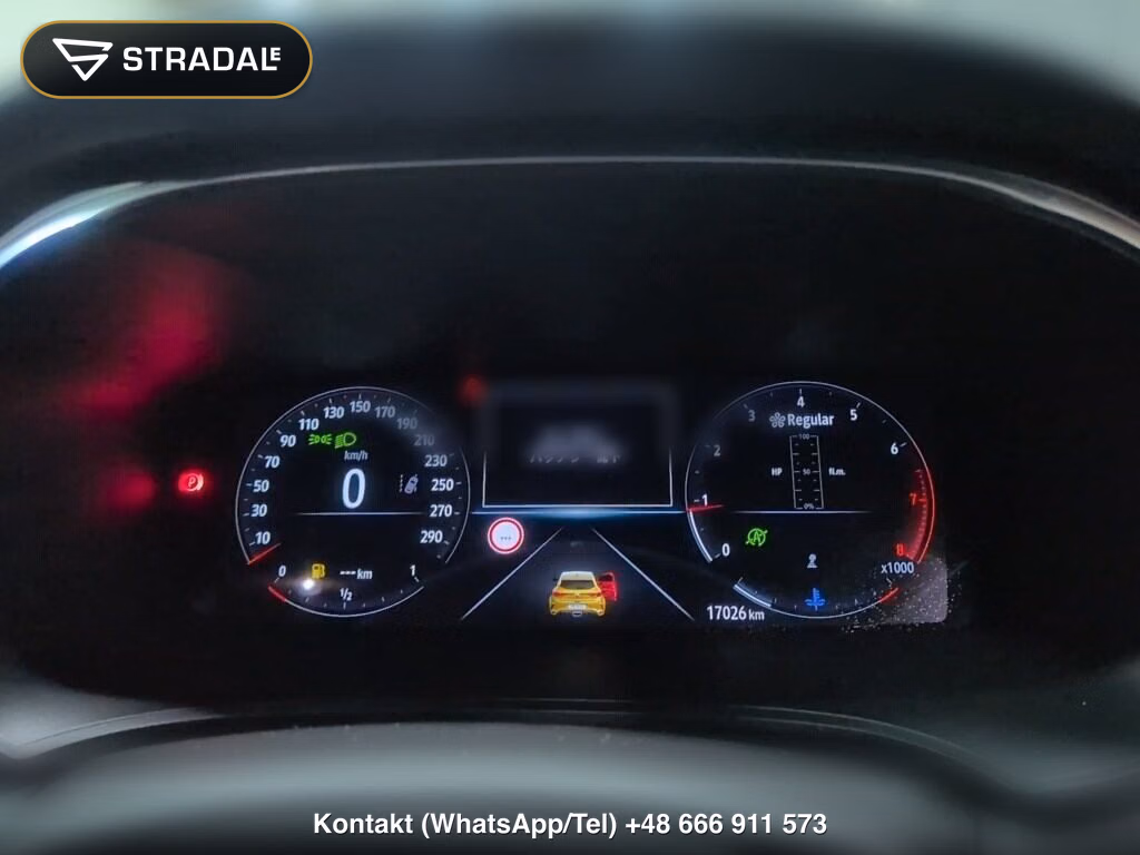 RENAULT MEGANE 5D R.S. ULTIME, miniaturka 7