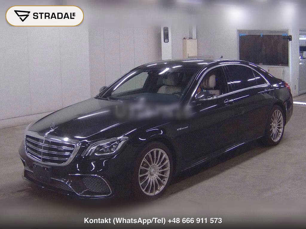 MERCEDES BENZ S-CLASS 4D S65 AMG LONG, miniaturka 5