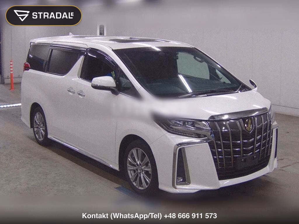 TOYOTA ALPHARD 2.5S TYPE GOLD, miniaturka 2