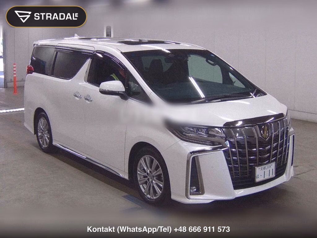 TOYOTA ALPHARD 2.5S TYPE GOLD, miniaturka 2