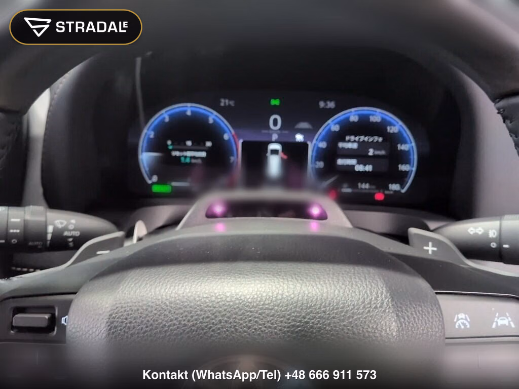 TOYOTA ALPHARD HYBRID Z, miniaturka 7