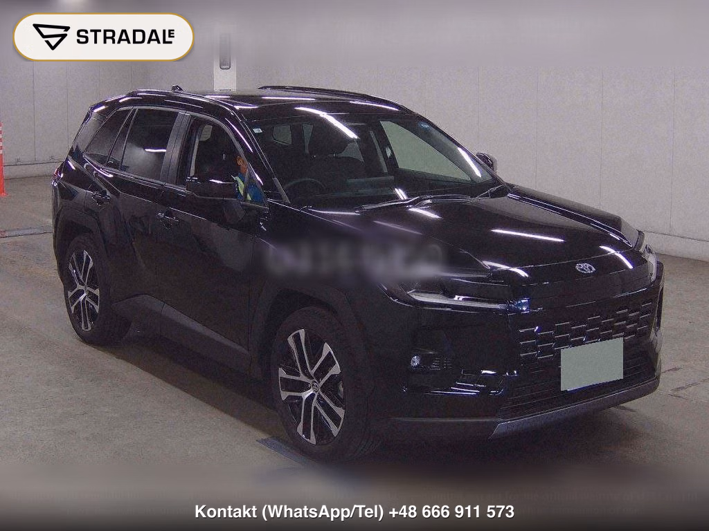 TOYOTA RAV4 5D 4WD Z, miniaturka 2