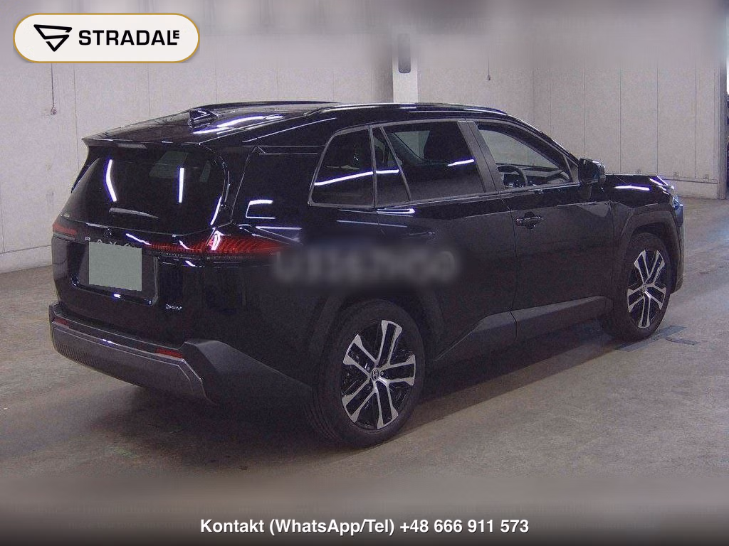 TOYOTA RAV4 5D 4WD Z, miniaturka 6