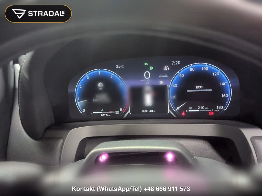 TOYOTA ALPHARD Z, miniaturka 7