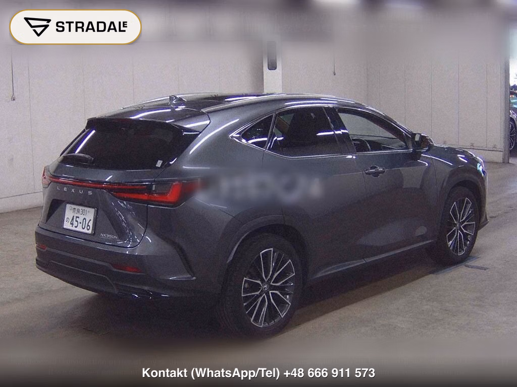 LEXUS NX NX350H VERSION L, miniaturka 6