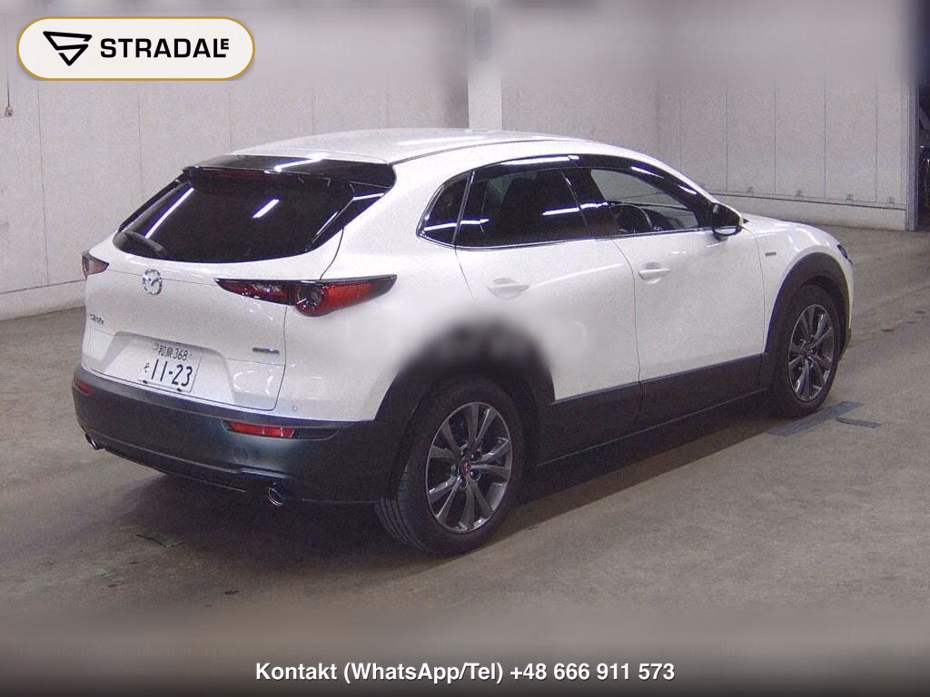 MAZDA CX-30 XD 100TH ANNIVERSARY SPECIAL EDITION, miniaturka 6