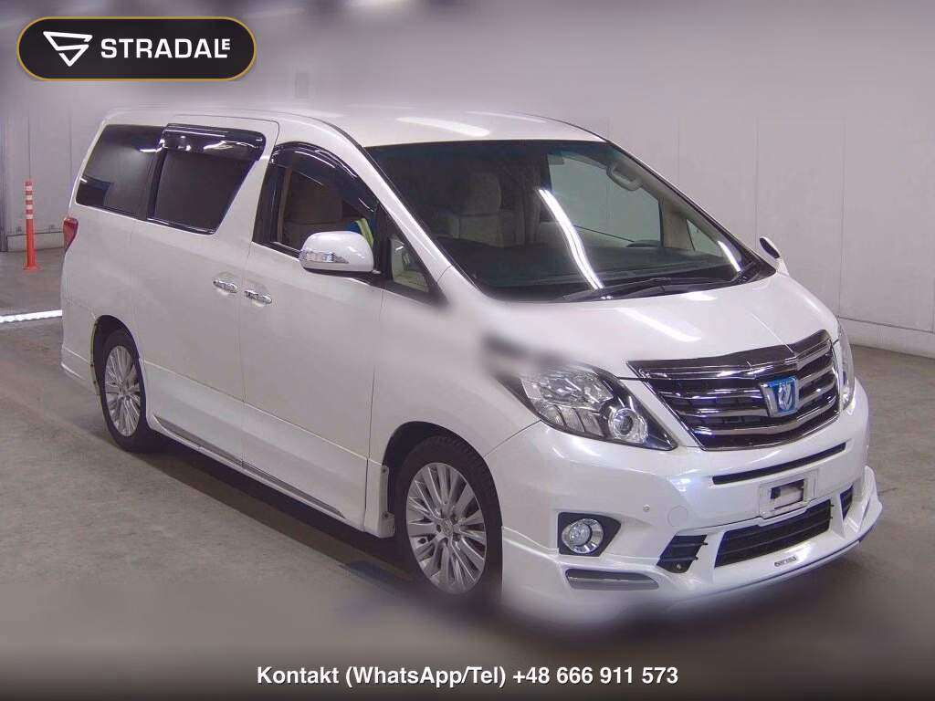 TOYOTA ALPHARD OTHERS 2011, aukcja z Japonii, zdjęcie 1