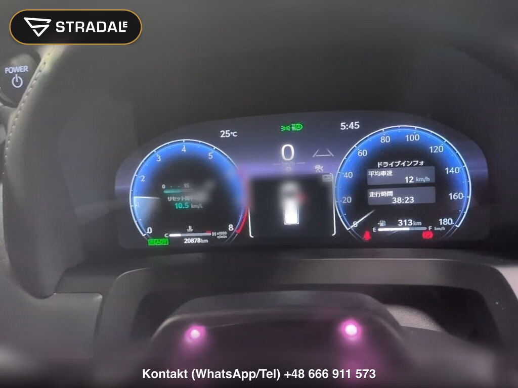 TOYOTA ALPHARD HYBRID 4WD Z, miniaturka 7