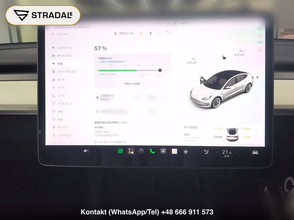 TESLA MODEL 3 4WD LONG RANGE, miniaturka 7