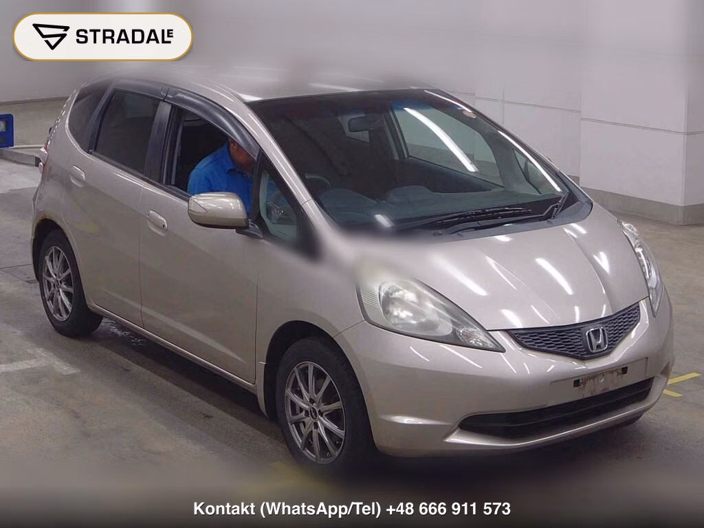 HONDA FIT 4WD OTHERS 2010, aukcja z Japonii, zdjęcie 1