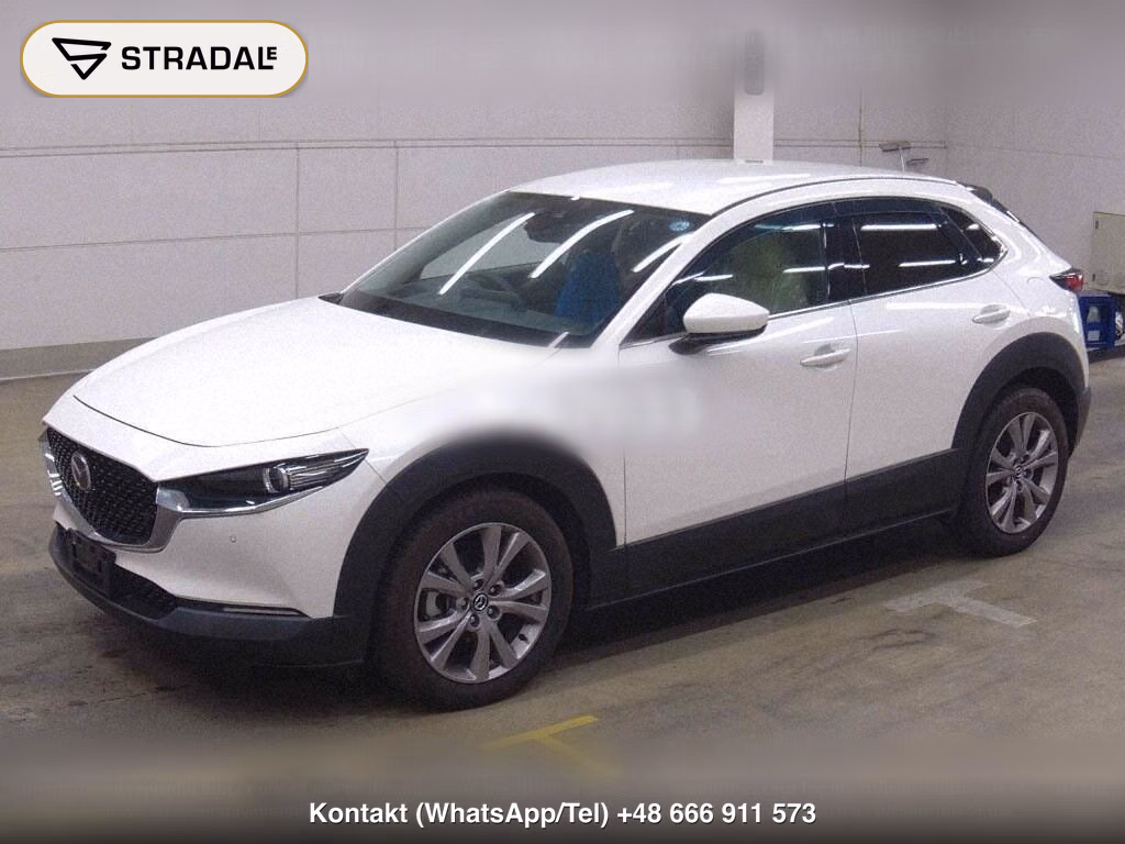 MAZDA CX-30 4WD 20S PROACTIVE TOURING SELECTION, miniaturka 5
