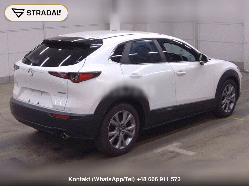 MAZDA CX-30 4WD 20S PROACTIVE TOURING SELECTION, miniaturka 6
