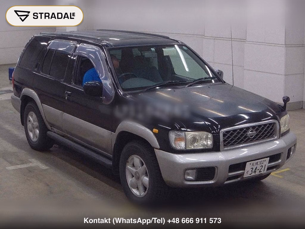 NISSAN TERRANO 5D 4WD WIDE R3M-R, miniaturka 2