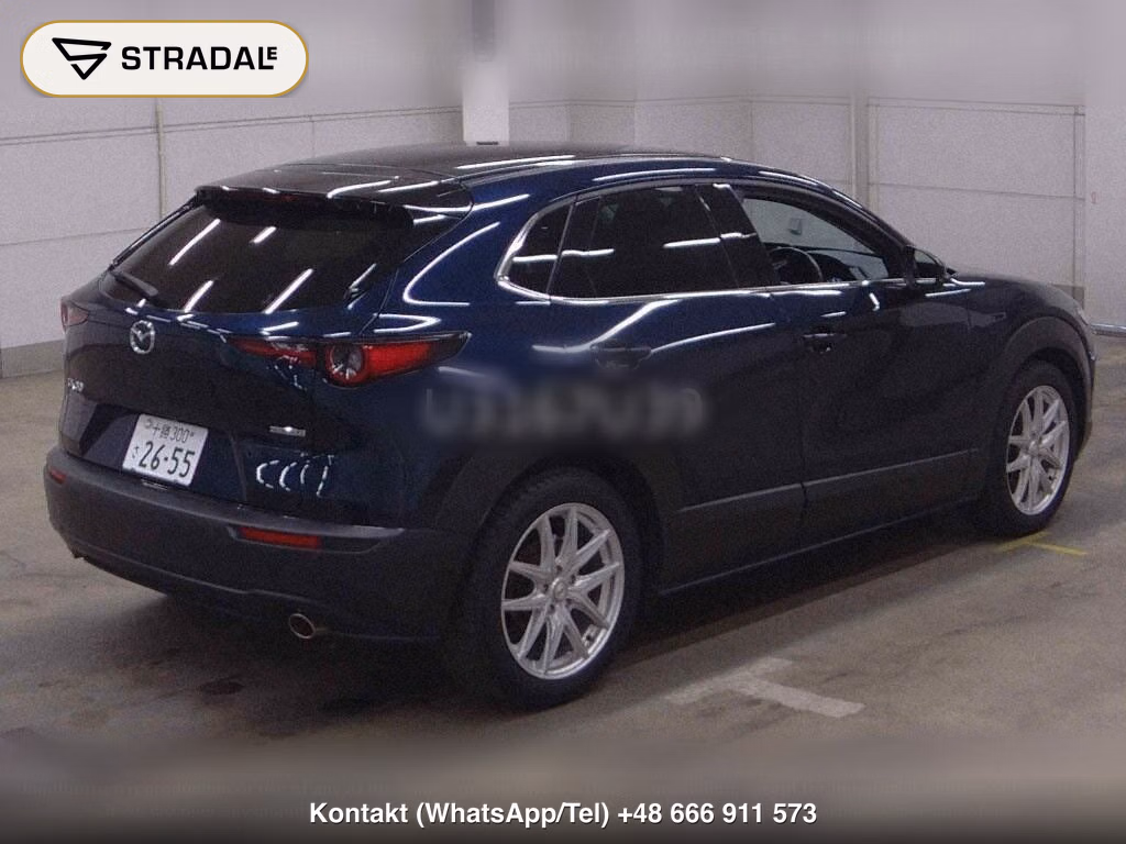 MAZDA CX-30 20S PROACTIVE, miniaturka 6