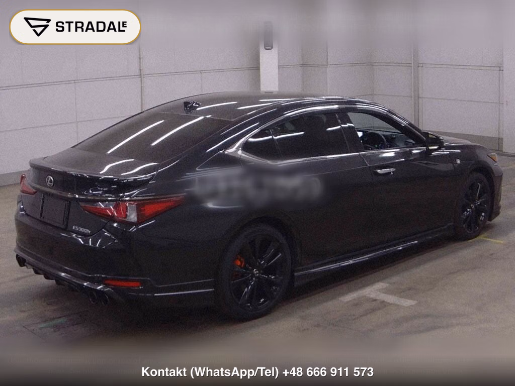 LEXUS ES ES300H F SPORT, miniaturka 6