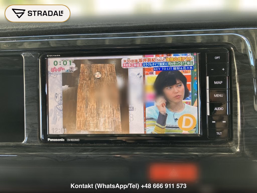 TOYOTA HIACE WAGON 4D 4WD GL, miniaturka 10