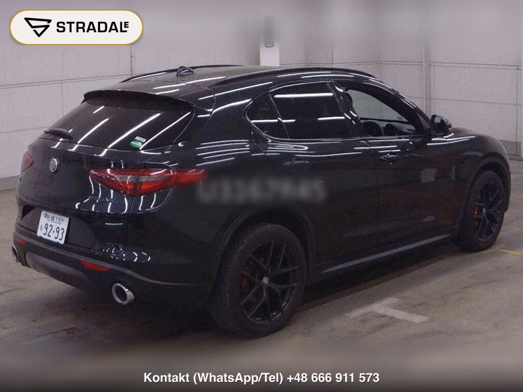 ALFA ROMEO STELVIO 4WD 2.2 TURBO DIESEL Q4, miniaturka 6